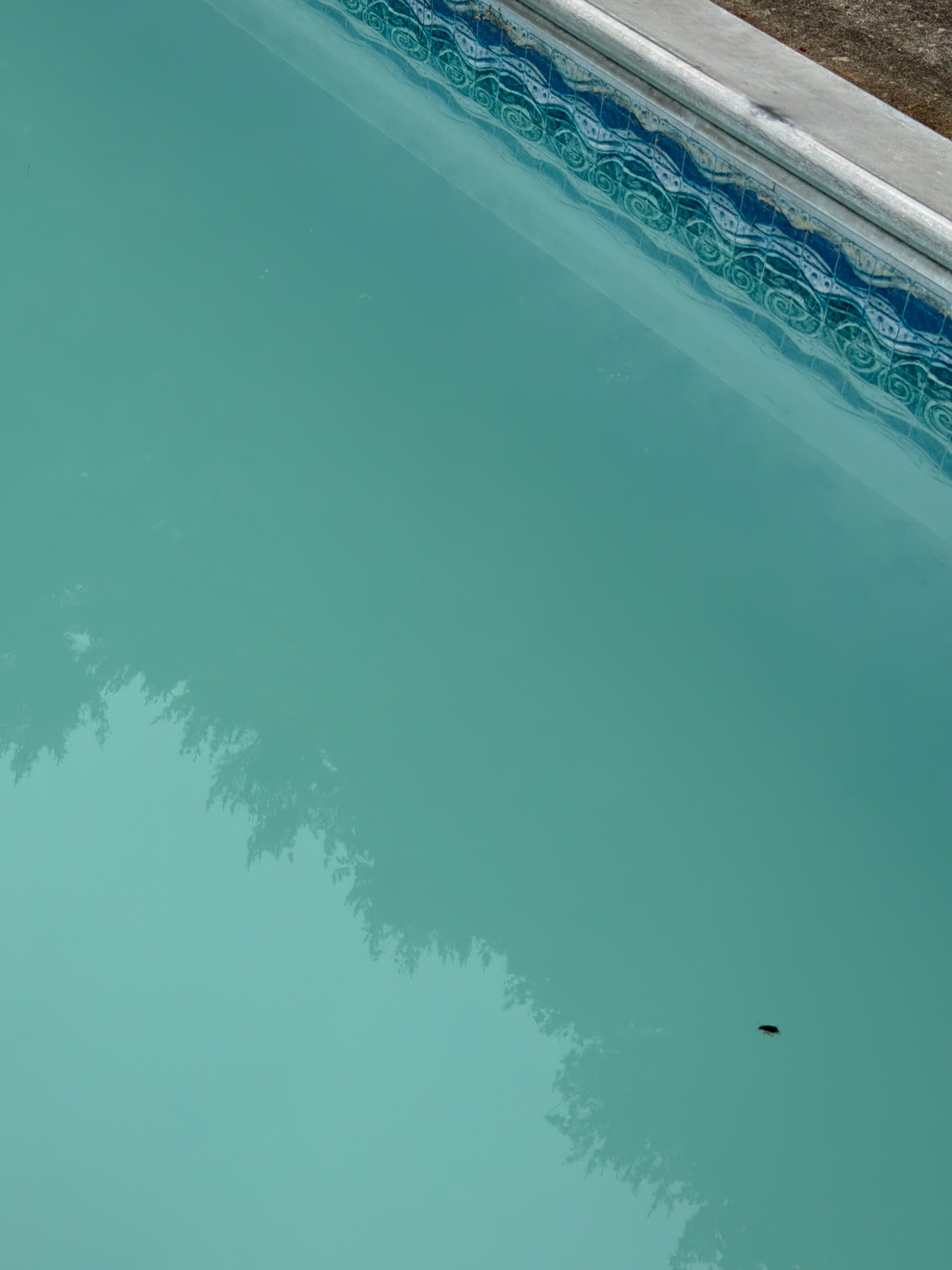 Cloudy pool water with decorative tile border before restoration